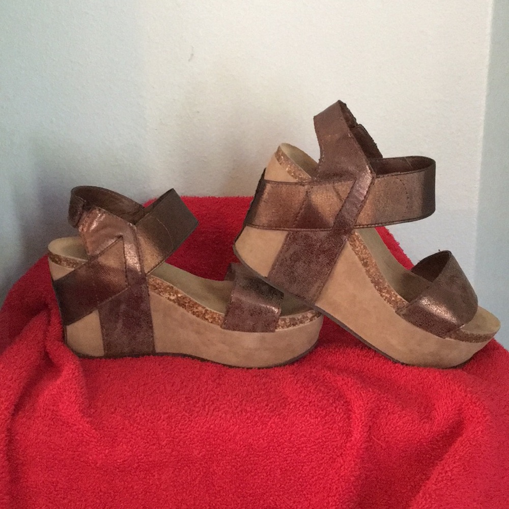 Pierre Dumas wedge